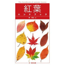 画像をギャラリービューアに読み込む, 紅葉ハンドブック
