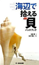 画像をギャラリービューアに読み込む, #池田等文 #海辺で拾える貝ハンドブック
