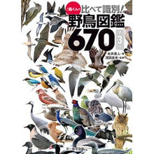 Load image into Gallery viewer, 比べて識別！野鳥図鑑６７０　第３版
