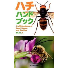 画像をギャラリービューアに読み込む, ハチハンドブック

