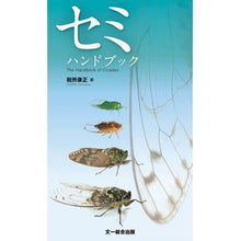 画像をギャラリービューアに読み込む, セミハンドブック
