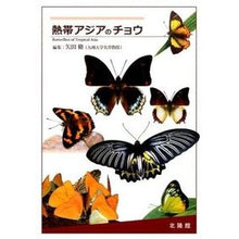 画像をギャラリービューアに読み込む, 熱帯アジアのチョウ
