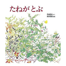 画像をギャラリービューアに読み込む, たねがとぶ Nobue Kai Seeds fly
