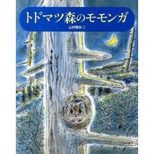 画像をギャラリービューアに読み込む, トドマツ森のモモンガ Yamamura Teruo Flying squirrel in the fir forest
