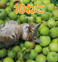 画像をギャラリービューアに読み込む, #岩合光昭 #１０ねこ :9784834082777
