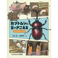 カブトムシの音がきこえる