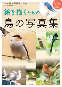 ＃宮本 桂 ＃絵を描くための鳥の写真集　トレース・模写 : ミヤモトカツラ : Bird photo collection for drawing pictures - tracing/copying : Miyamoto Katsura : 9784837306870 :9784837306870
