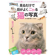 見るだけで目がよくニャる猫の写真