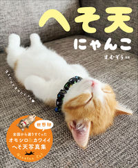 #Sumuzo #bellyupcat