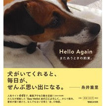 Ｈｅｌｌｏ　Ａｇａｉｎ　またあうときの約 Iwasaki Yukio Hello Again About when we meet