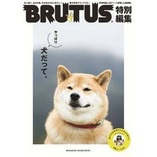 画像をギャラリービューアに読み込む, やっぱり犬だって。
