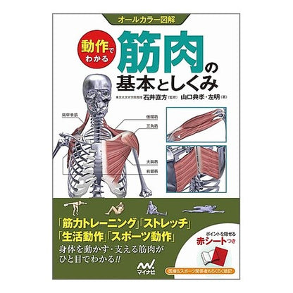 動作でわかる　筋肉の基本としくみ