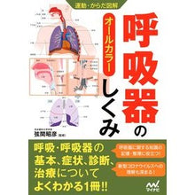 画像をギャラリービューアに読み込む, 呼吸器のしくみ
