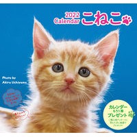 画像をギャラリービューアに読み込む, カレンダー　’２２　こねこ
