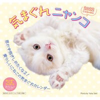 画像をギャラリービューアに読み込む, カレンダー　’２２　気まぐれニャンコ
