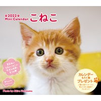 画像をギャラリービューアに読み込む, ミニカレンダー　’２２　こねこ

