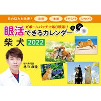 画像をギャラリービューアに読み込む, ’２２　眼活できるカレンダー　柴犬
