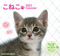 画像をギャラリービューアに読み込む, #内山晟写真 #’２３こねこカレンダー
