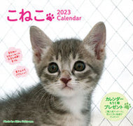 #内山晟写真 #’２３こねこカレンダー