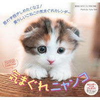 画像をギャラリービューアに読み込む, ’２３　気まぐれニャンコカレンダー
