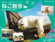 #SachiyoNakayamaPhotos #SachiyoNakayamaCatsCalendar2023