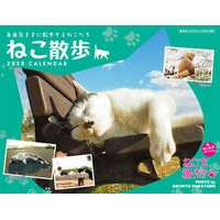 画像をギャラリービューアに読み込む, ’２３　中山祥代ねこ散歩カレンダー
