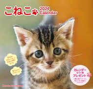 #内山晟 #’２４こねこカレンダー