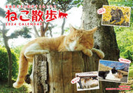 #中山祥代 #’２４中山祥代ねこ散歩カレンダー