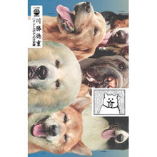 画像をギャラリービューアに読み込む, アントロポセンの犬泥棒
