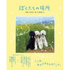 ぼくたちの場所