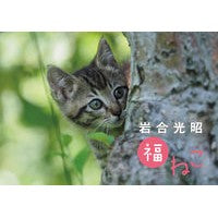 画像をギャラリービューアに読み込む, カレンダー　’２２　岩合光昭　福ねこ
