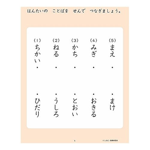 七田式・知力ドリル４，５歳　ちえ　改訂版 Shichida Style Intellectual Drill for 4 and 5 Years Old Chie Revised Edition