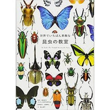 画像をギャラリービューアに読み込む, 世界でいちばん素敵な昆虫の教室
