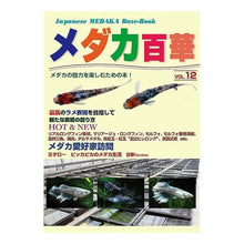 Load image into Gallery viewer, メダカ百華　　１２
