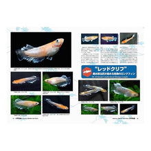 画像をギャラリービューアに読み込む, ９７８４８６２１３１４２３
