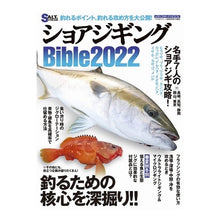 画像をギャラリービューアに読み込む, ’２２　ショアジギングＢｉｂｌｅ
