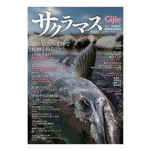 Load image into Gallery viewer, ’２３　サクラマス
