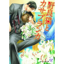 画像をギャラリービューアに読み込む, 野良猫とカサブランカ
