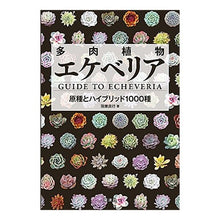 画像をギャラリービューアに読み込む, 多肉植物　エケベリア
