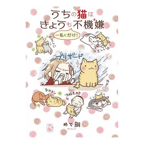 うちの猫はきょうも不機嫌…私にだけ！ Meditate My cat is grumpy today too…only to me!