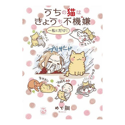 うちの猫はきょうも不機嫌…私にだけ！ Meditate My cat is grumpy today too…only to me!