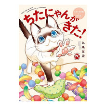 画像をギャラリービューアに読み込む, ちたにゃんがきた！てぶくろ仔猫と私たち
