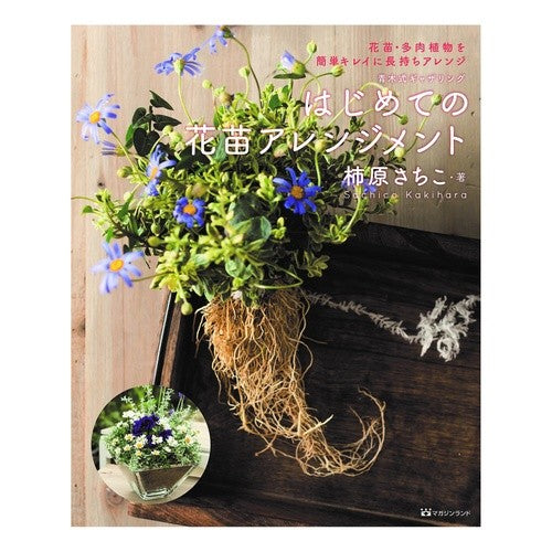はじめての花苗アレンジメント First flower arrangement