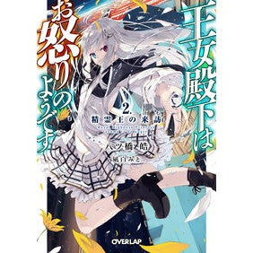 王女殿下はお怒りのようです　　　２ Yatsuhashikou Her Royal Highness the Princess seems angry 2