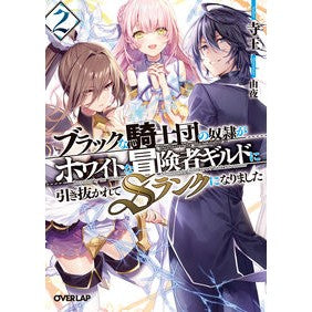 ブラックな騎士団の奴隷がホワイトな冒　２ Zio The slave of black knights is a white adventure 2