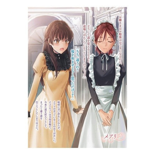 拝啓「氷の騎士とはずれ姫」だったわた　２ Yairos Dear Sir, I was the “Ice Knight and Outcast Princess” 2