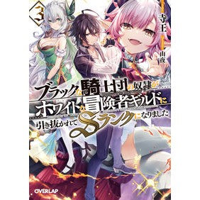 ブラックな騎士団の奴隷がホワイトな冒　３ Zio The slave of black knights is a white adventure 3