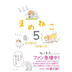 まめねこ　　　５　なになに？これな～に！