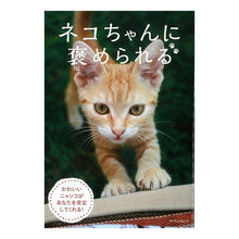 画像をギャラリービューアに読み込む, ネコちゃんに褒められる
