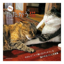 画像をギャラリービューアに読み込む, 何かとたたかう猫
